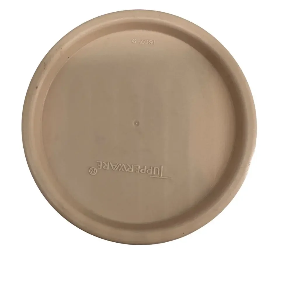 Vintage Tupperware Spaghetti Keeper Pasta Container 1607-9 w Divider Lid